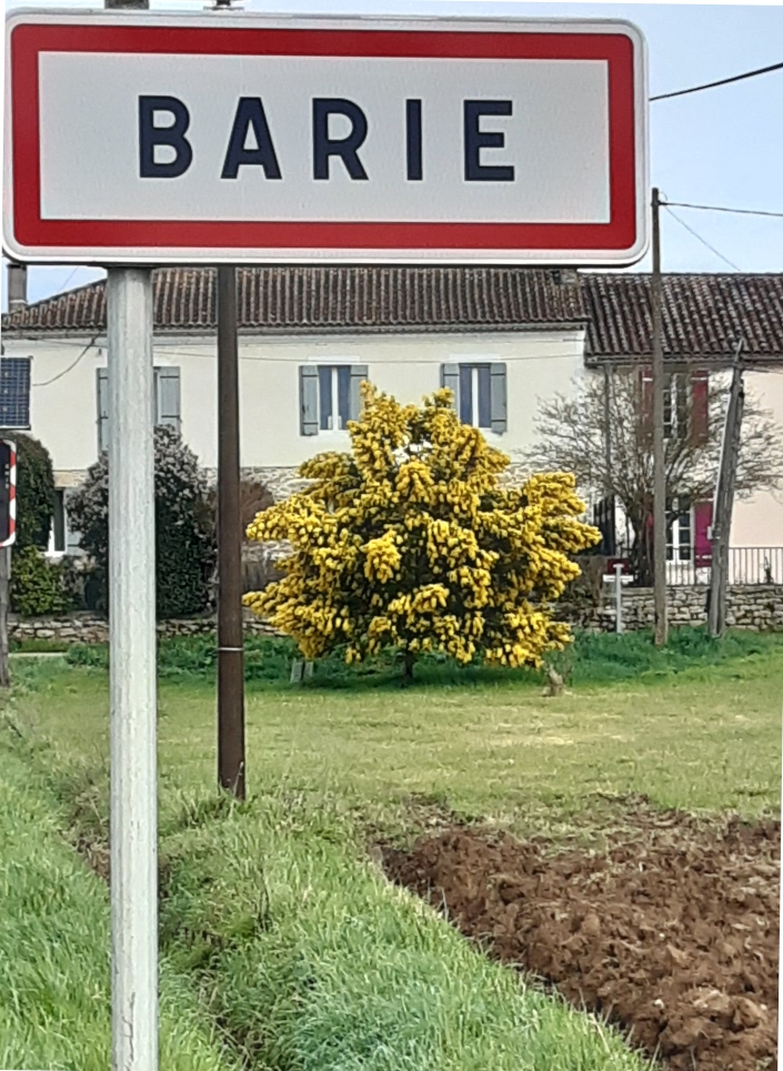 bariolé