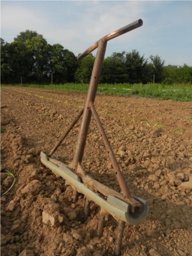 fourche à poireaux