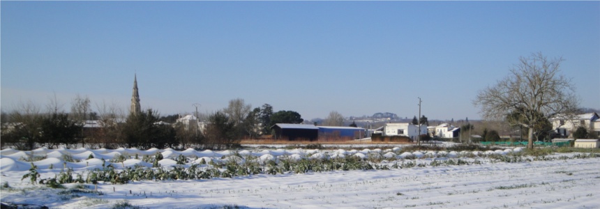 jardin sous la neige en 2012