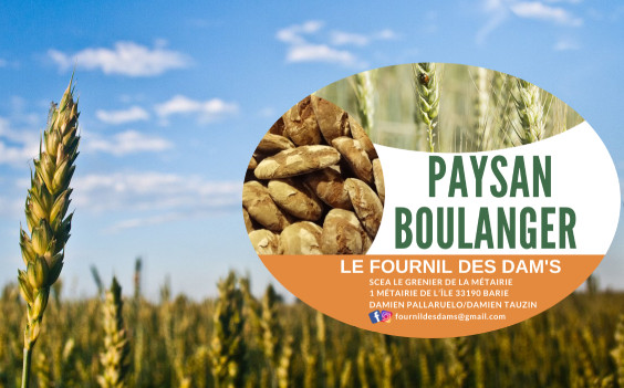 paysans-boulangers à barie